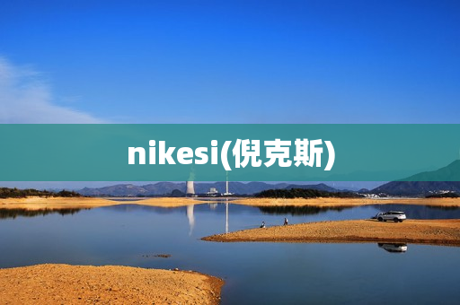 nikesi(倪克斯)