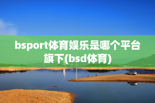 bsport体育娱乐是哪个平台旗下(bsd体育)