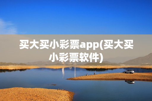 买大买小彩票app(买大买小彩票软件)