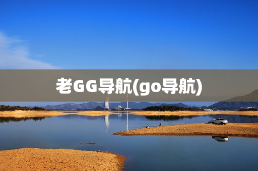 老GG导航(go导航)