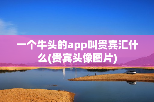 一个牛头的app叫贵宾汇什么(贵宾头像图片)