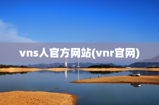 vns人官方网站(vnr官网)