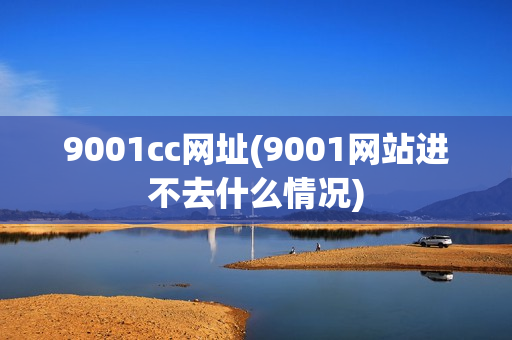 9001cc网址(9001网站进不去什么情况)