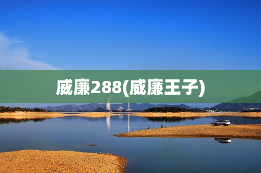 威廉288(威廉王子)