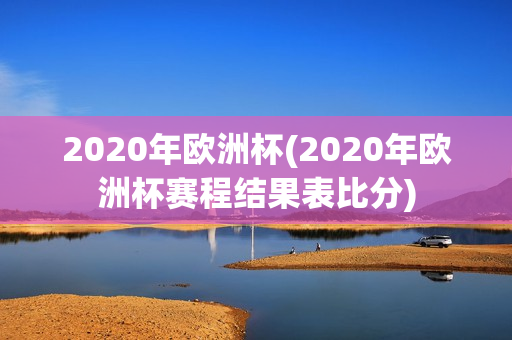 2020年欧洲杯(2020年欧洲杯赛程结果表比分)