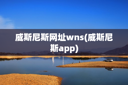 威斯尼斯网址wns(威斯尼斯app)