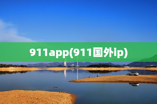 911app(911国外ip)