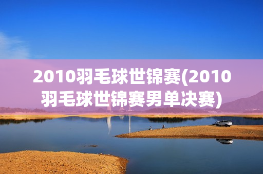 2010羽毛球世锦赛(2010羽毛球世锦赛男单决赛)