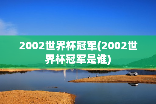 2002世界杯冠军(2002世界杯冠军是谁)