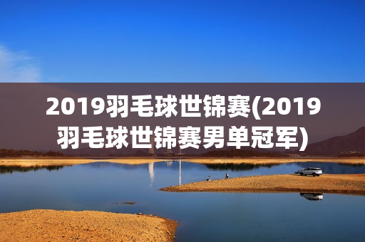 2019羽毛球世锦赛(2019羽毛球世锦赛男单冠军)