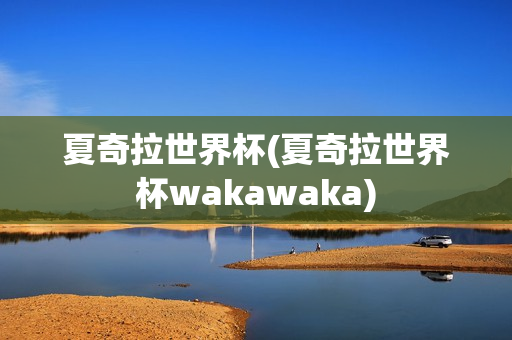 夏奇拉世界杯(夏奇拉世界杯wakawaka)